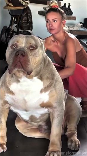 incredible baby to giant animals transformation