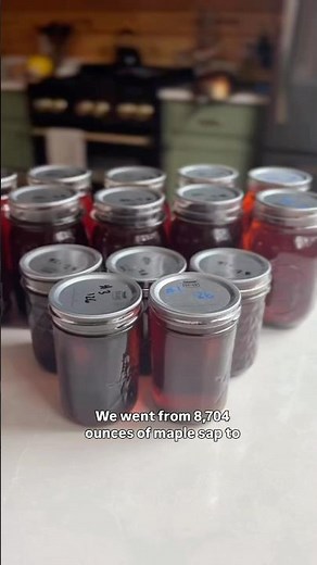🍁How much maple syrup did we get from 68 gallons of sap? #maplesyrup #mapletrees #tappingseason