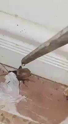 Sotero Perez-Corbera Ablin-Juliano III on Instagram: "Nothing the WD-40 can't fix reg 藍 藍"