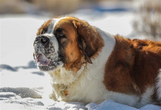 Hike of the Week: Take a quick outdoor adventure at the Miller Ranch open space