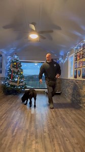 💥MARKER METHOD💥 As simple and basic as it looks, there are many nuances and intricacies of marker training, which are crucial for clear communication with the Dog. I made this marker/ clicker charging video for a student in our online American Standard Academy for Professional Dog Trainers . The mistakes she was making are extremely common as I see them coast to coast during my travels. Here is how I like to begin the process for Pet Dogs, I have a slightly different approach for Working Dogs 