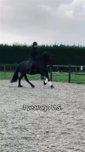 Vergeleken met een jaar terug zijn we zo ontzettend vooruit gegaan! Sylke ontwikkelt ook enorm op het moment! Zo gaaf 😍 #paardrijden #dressuur #equestrian #transformation #paarden