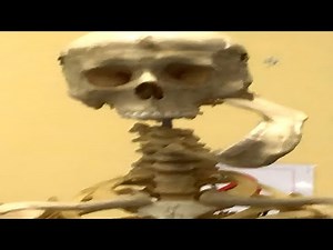 Perfectly Cut Screams Memes 17