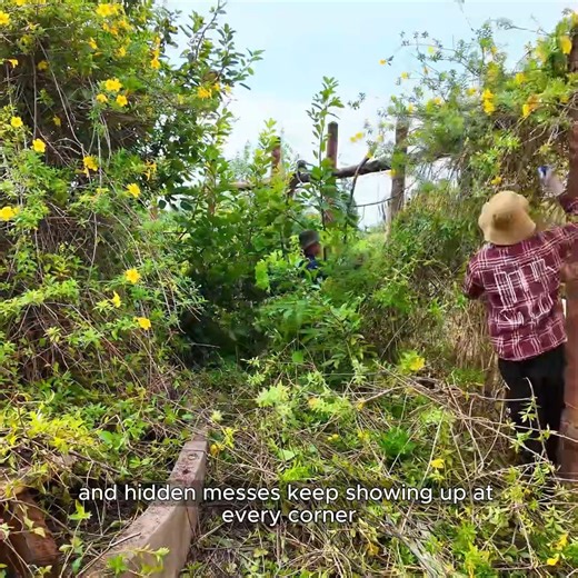 Day 5 of Cleaning the $5,000 Villa… and it’s Still Not Over! #EpicCleanup #clean #cleaning #cleaninghouse #cleantheoldhouse | Clean The Old House