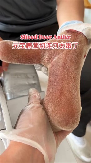 Relaxtime on Instagram: "Deer antler velver is the soft, fuzzy new antler from young deer. It's a super tonic in Chinese medicine — folks say it boosts energy and strengthens your body! #relax #reels #relaxtime😎 #relievestress #Cut #deerantlers #chinesemedicine"
