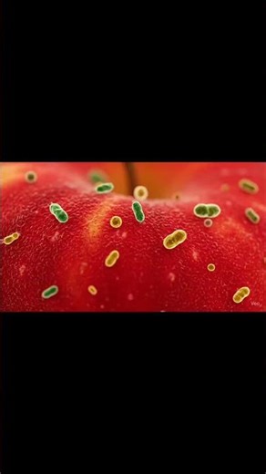 Microscopic View: Bacteria on an Apple 🍎🔬