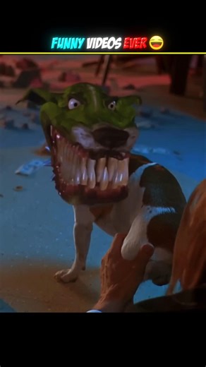 You will be shocked to see the exploits of animals #shorts #youtubeshorts