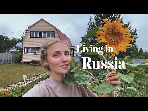 Realistic Daily Life in Siberia, Russia 🇷🇺