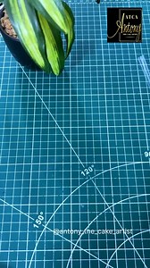 How to make instant flying butterfly topper out of fondant / cake topper...#butterfly#topper#caketopper#art#craft#fondant #cakedecorating#cakeart#cakecraft#reels#reelsinstagram#reelitfeelit#reelkarofeelkaro #antonythecakeartist#artist | Antony Bidesh