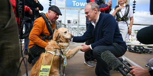 Who is the new guide dog in the House of Commons? Meet Golden Retriever Jennie
