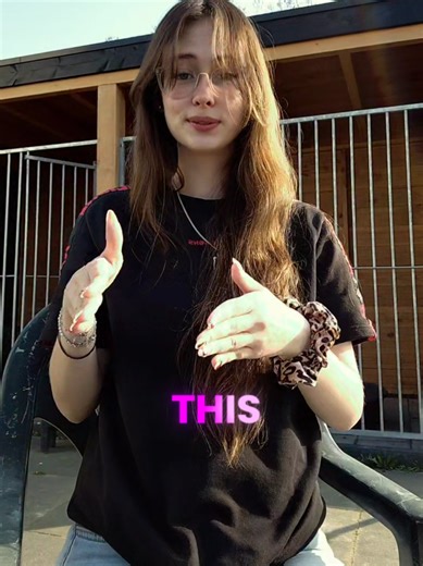 Discover the Magic of Cinderella's Shoes