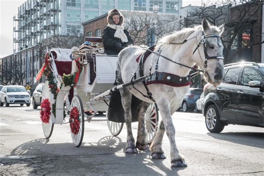 Can you get a DUI riding a horse? Here's what Alabama law says