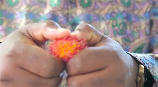 The Eastern Regional Minister Hon. Seth Kwame Acheampong testifies on the benefits of the medicinal fruit from the CSIR-Plant Genetic Resource Research Institute, Bonsu, Eastern Region. | CSIR GHANA