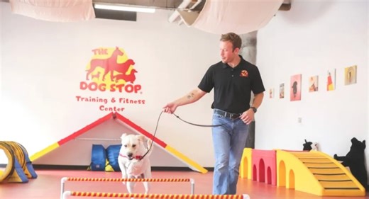 All-inclusive dog care franchise to open first N.J. location. See location, details.