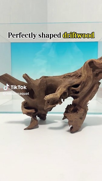 Preparing Wood for Your Aquarium