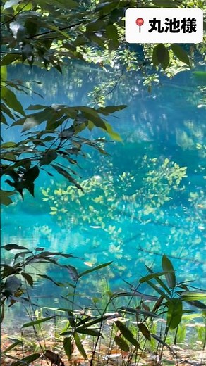 山形県庄内でおすすめ観光スポット二選。丸池様。地下から湧き出る池はびっくりするくらい透明度高い。羽黒山の五重塔。国宝。めちゃスピってる！