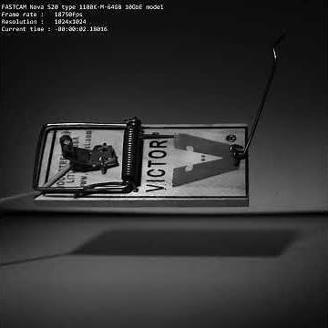 Photron Nova S20 High Speed Camera