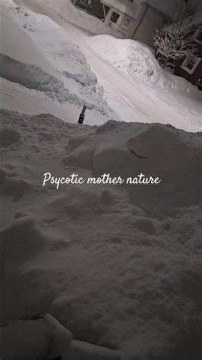 Snow, buried, front yard! #cute #funny #music #cutecat