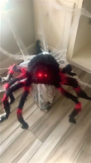 Spider spirit Halloween red in black