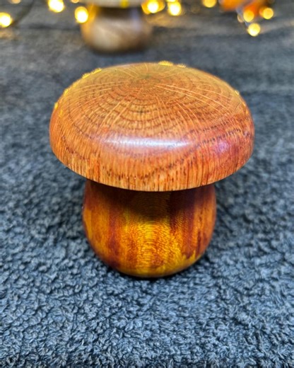 Handcrafted Tooth Fairy Box, Oak and Tulip Wood. - Etsy