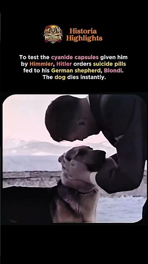 Hitler’s Final Test in the Bunker