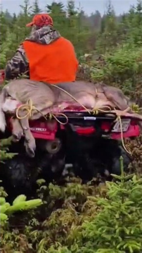 Hunting in Nova Scotia Canada #hunting