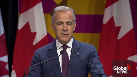 Carney says he is ‘trying to learn some diplomacy' from King Charles