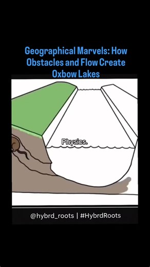 HYBRD_ROOTS on Instagram: "River meandering is a dynamic process driven by fluid dynamics and sediment transport. When obstacles like beaver dams interrupt flow, water erodes outer banks and deposits sediment on inner banks, gradually creating curves called meanders. #riverscience #meandermagic #naturefractals #oxbowlake #fluiddynamics #sedimentstories #geowonder #earthpatterns #erosioninaction #naturalgeometry #riverevolution #landscapemath #wildwaterways #natureexplained #fractalnature #explor