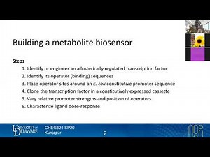 25 Building biosensors | Biosensors & Synthetic Circuits | Lecture 15 | Metabolic Engineering | SP20
