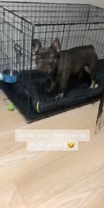 To license this content please click here: https://www.jukinmedia.com/licensing/view/1286506?utm_source=RMsocialpost&utm_medium=RMsocialpost | Jukin Copyright Management | Facebook