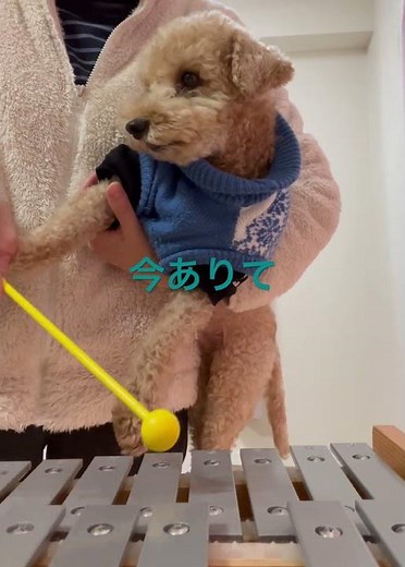 谷村新司 今ありて