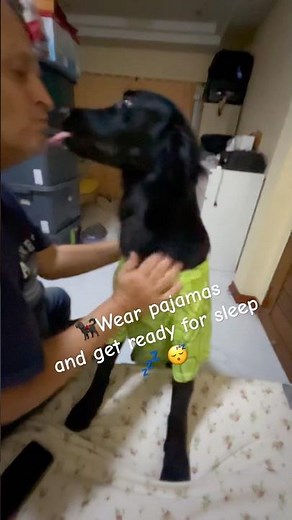 😘🤣🐕‍🦺Mr Tony😘 #doggybestfriend 13 สิงหาคม 2568 #doggielife #funny