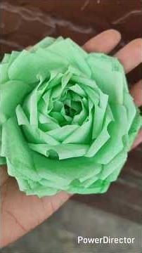 Diy tissue paper green rose#shorts #shortsfeed #shortsviral#viralshorts #tissuepaperrose #aesthetic