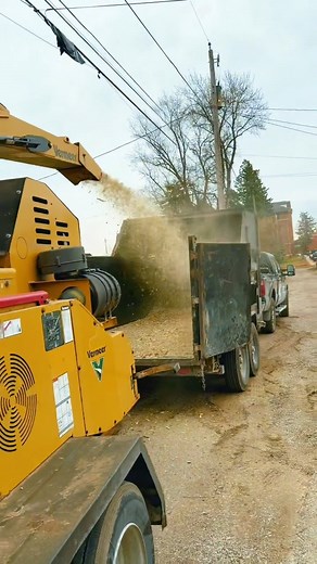 FRIDAY! Have a Great Weekend! #treeservice #TreeRemoval | SSPI Solutions