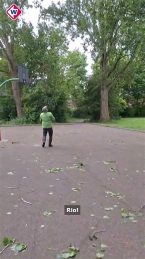 Vermiste vogel Rio gevonden op schoolplein | #shorts