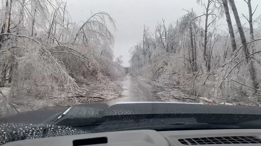 Amazing footage shows trees buckling under ice after massive Michigan storm
