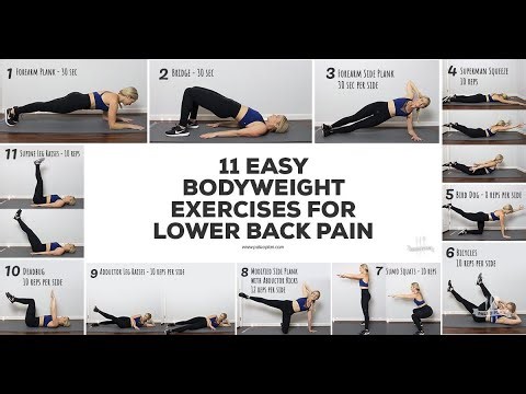 10 Effective Exercises for Lower Back Pain Relief | Best Exercises for a Healthy Spine