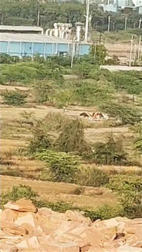 120 × zoom ultra video 😱 #shorts