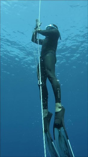 Free Immersion Diving: Techniques for Depth Exploration