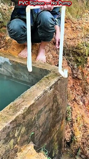 PVC Siphon Water Transfer Without a Pump.