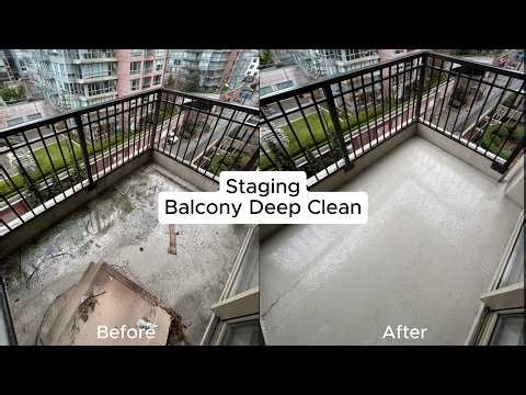 1 Massive Transformation 😳 | Downtown Vancouver Deep Clean (Mold, Algae & Bird Nest Removed!)