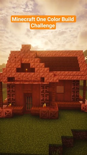 Minecraft One Color Build Challenge [ORANGE] #minecraft