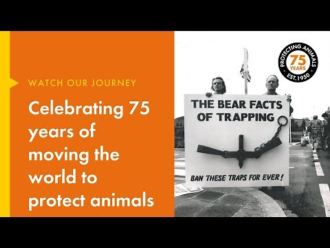 Celebrating 75 years of moving the world to protect animals!