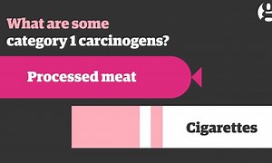 Processed meat: your animated guide to what is a carcinogen - video