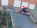 DPD delivery driver spotted bizarrely 'vaulting' over a fence
