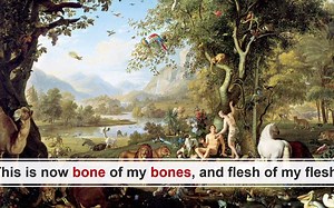 bone - 听歌记单词~ 高中英语 新人教版(2019版) 必修一 Unit5 Languages around the World 单词讲解