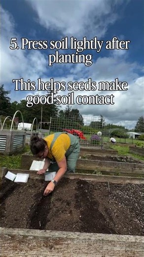 Planting seeds seems simple… until nothing sprouts 😅 Or everything comes up crowded