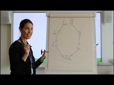 Year 4 Maths - Halving