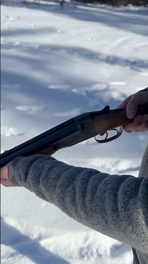 Stevens Model double barrel shotgun ￼