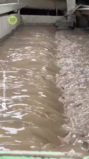 Recycling Millions of Waste Cardboard Boxe! #recycling #waste #cardboard #boxe | Workshop English